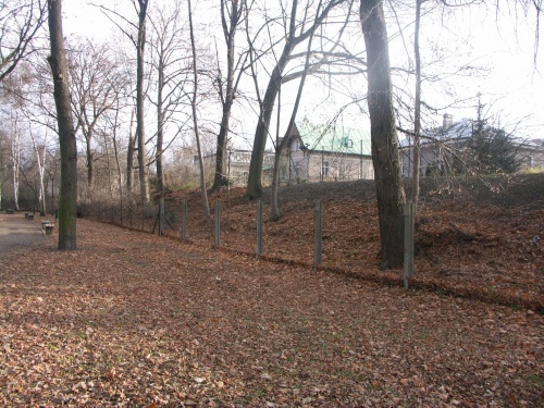 Relikty fortyfikacji bastionowych przy ul. Księcia J. Poniatowskiego w Lesznie. (fot. M. Urban, 2013), zdjęcie nr 22