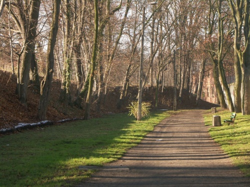 Relikty wałów w rejonie Al. J. Słowackiego. W głębi widoczne zabudowania dawnej Fabryki Pomp w Lesznie. (fot. M. Urban, 2015 r.), zdjęcie nr 24