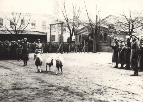 Apel żołnierzy niemieckich stacjonujących w koszarach przy ul. Dąbrowskiego w Lesznie w okresie okupacji. (APL)