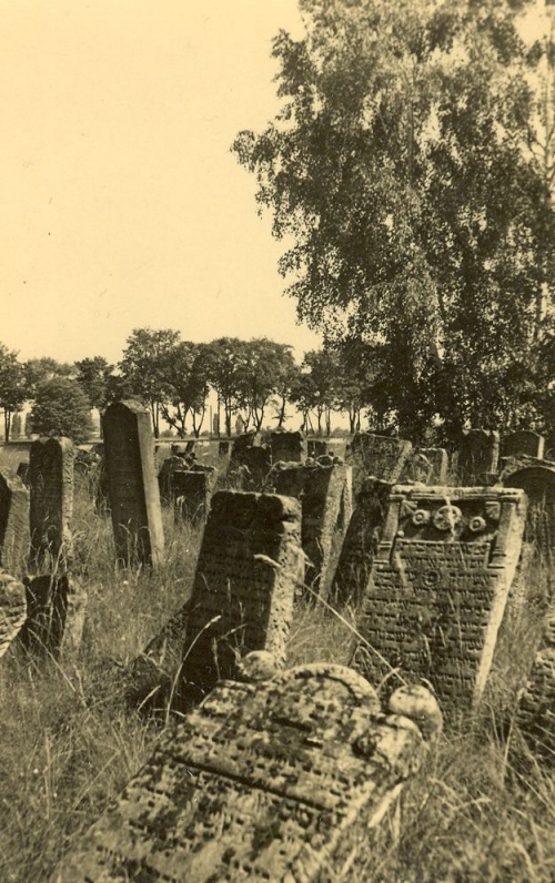 Cmentarz żydowski w Lesznie, stan sprzed 1939 r. (fot. z archiwum M. Błaszkowskiego), zdjęcie nr 4